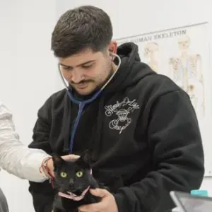 Pet sitting na cidade do Porto