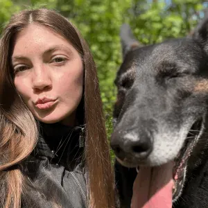 Garde compagnon à Dijon et aux alentours !
