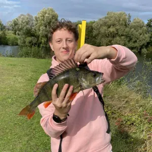 Pet-Sitter passionné à Herblay ! 