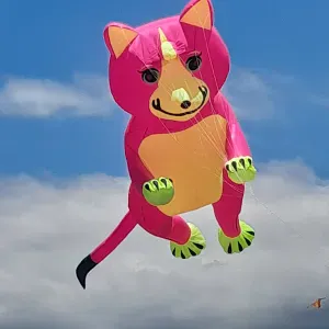 Femme de ménage à Saint-Louis 