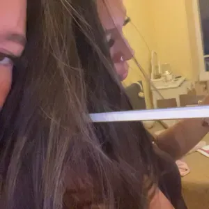 Garde d'animaux : votre compagnon entre de bonnes mains 