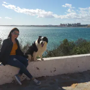 Cuidado de mascotas torrevieja 