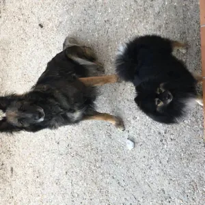 Recherche personne à domicile