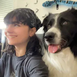 Absents ? Pas de panique! Balades, jeux et câlins 🐾🎾