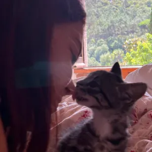 Pet sitting by animal lover since birth 