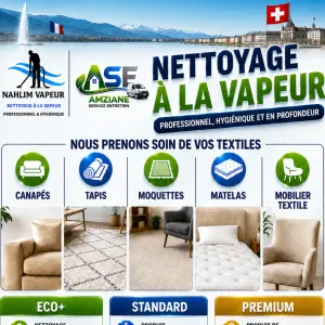 Genève Toute type de service Nettoyage