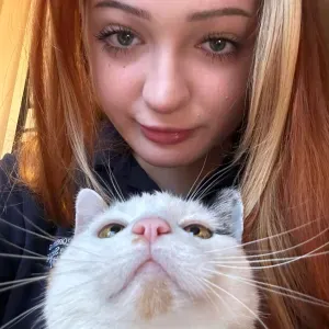 Pet sitting and walking services Oelde