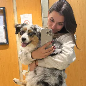 Pet-Sitter à Chambéry et ses alentours 