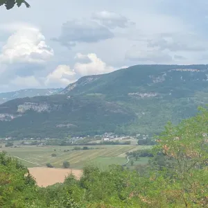 Pet-sitter à Beynost et environ