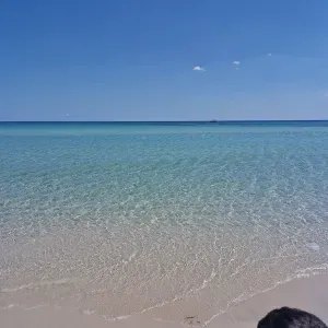 Nounou à embaucher
