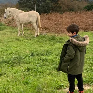 Busco ayuda en limpieza en Madrid ,3 veces/semana