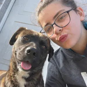 Pet Sitting/Passeios em Gondomar