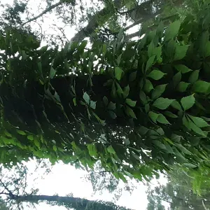 NOUNOU POUR VOUS ANIMAUX