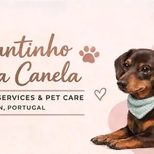 Pet sitting. Cantinho da Canela