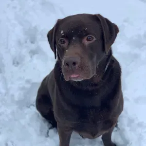 Cherche quelque heure de ménages