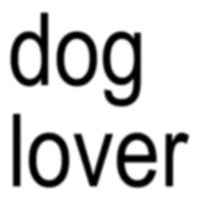 Pet siting in Lisbon 🐶🐱 Cuido do seu pet com amor