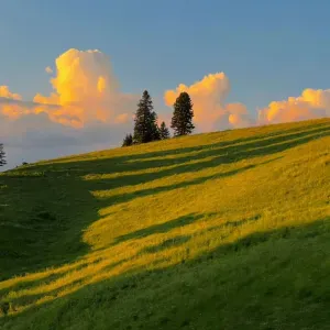 Baby-sitter dans les Yvelines 