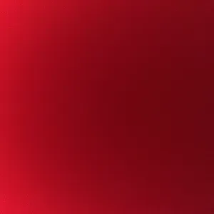 Jeune étudiante fiable pour ménage et rangement 