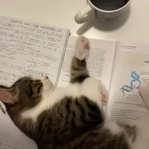 En recherche d'un jod étudiant pour faire du babysitting !