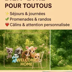 PETSITTER MAISON JARDIN RANDOS,VISITES,PROMENADES,JEUX,AMOUR