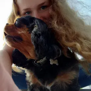 Pet sitting near Geraardsbergen