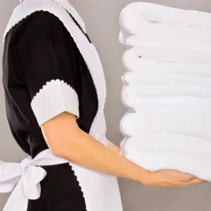 Gouvernante profesionelle