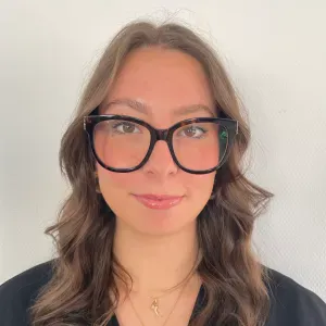 Ménage/ aide à domicile véhiculé