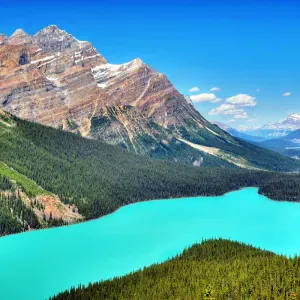 Aide ménagère  Lundi Mardi Jeudi Vendredi