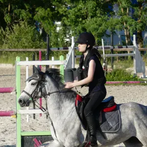 Garde d'animaux