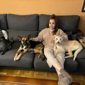 Babysitter profissional En Viseu