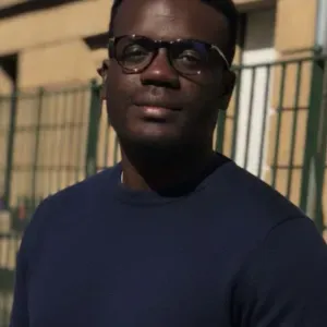 Baby-sitter ayant des une bonne expérience aves les enfants.