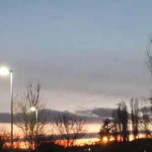 Petsetter o dogsetter in reggio nell'Emilia 