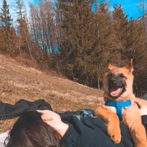 Pet sitting Bardonecchia-Torino