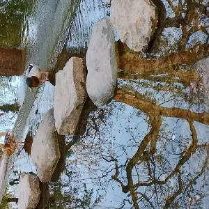 Assistante éducative petite enfance 