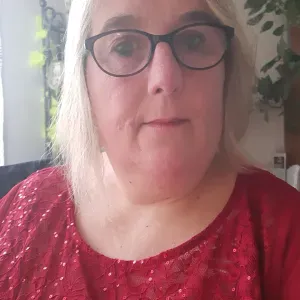 agent d'entretien et repassage 