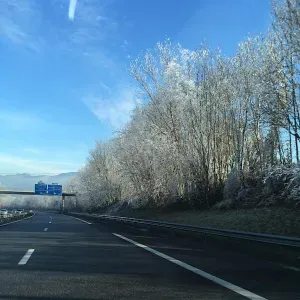 Offre d'emploi pour un(e) petsitter à Saint-Julien-En-Ge...