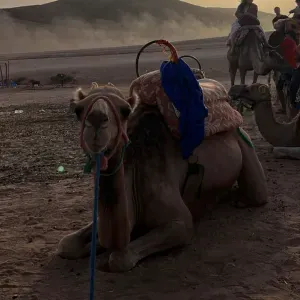 Mon objectif : rendre chaque notion facile et évidente. 