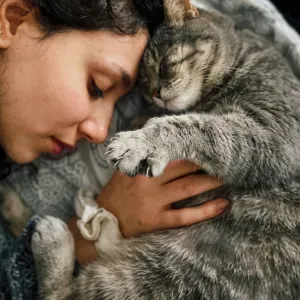 Catsitting a Lugano o Caslano e dintorni