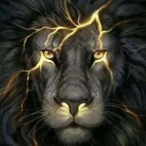 Aide ménagère à domicile rigoureux