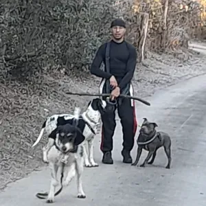 Petsitter Alès et alentours!!!