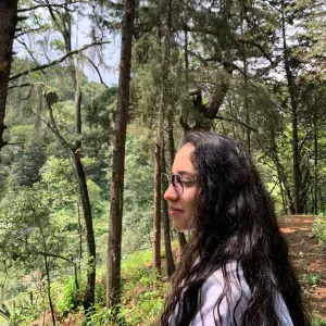 Prof particulier en ligne