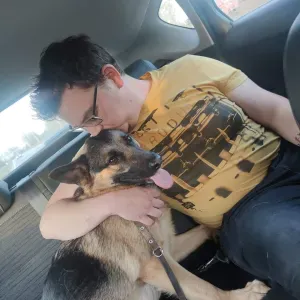 Dog sitter pour la région Mons et Hainaut