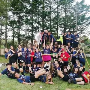 Cerco pulizie vicino a me