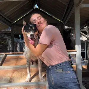 Garderie de jour pour chiens à Colombier (NE)