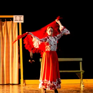 Cuidadora en Granada con experiencia