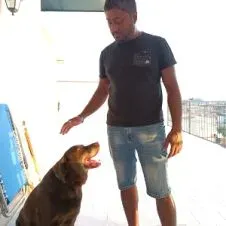 Cerco lavoro come educatore cinofilo e dog Sitter. (Catania)