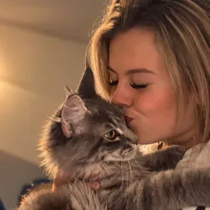 Pet-sitter plouagat et ses alentours