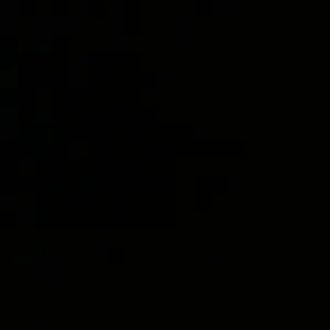 Femme de ménage disponible à albi ! 