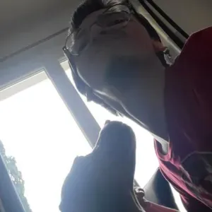 Pet-sitter, dog-sitter à Evreux