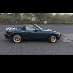 Posizione per Petsitter a San Giovanni la Punta